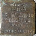 Stolperstein für Dr. Liese Schwarzschild-Rosenstein (Kreuzgasse 21)