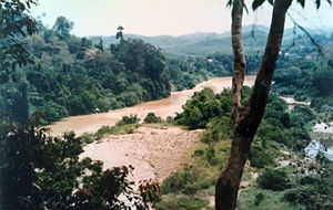 View of Sungei Tembeling from Taman Negara Nat...