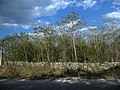 Tixcacal (Mérida), Yucatán.