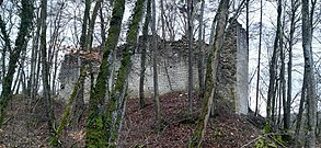 Blick über Halsgraben auf Palasruine der Spornburg (Kernburg)