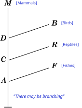 Diagram from the 1844 book Vestiges of the Natural History of Creation by Robert Chambers shows a model of development where fishes (F), reptiles (R), and birds (B) represent branches from a path leading to mammals (M). Vestiges dev diag labelled.svg