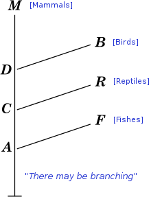 Diagram from the first edition shows a model of development where fishes (F), reptiles (R), and birds (B) represent branches from a path leading to mammals (M). Vestiges dev diag labelled.svg