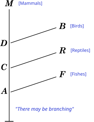 Vestiges dev diag labelled.svg