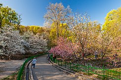 Botanischer Garten „A. W. Fomin“