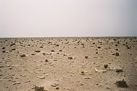Гамади - безплідні кам’янисті пустелі