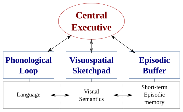 File:Working-memory-en.svg