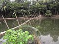 Einfache Bambusbrücke, Bangladesch