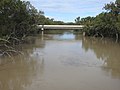 Bridge over the Barwon River in flood (2021).