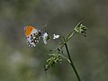 Vorschaubild der Version vom 00:57, 10. Jul. 2018