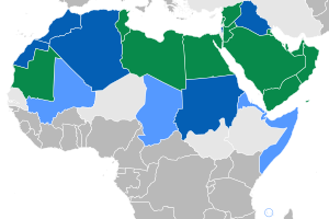 Distribution of Arabic as sole official langua...