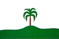 Bandeira de Palmeira das Missões