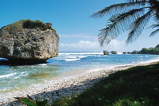 Panorama alle Barbados