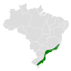 Distribución geográfica del cotinga encapuchado.