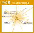 2016年11月15日 (二) 17:41版本的缩略图