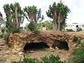 Пещера Неттера