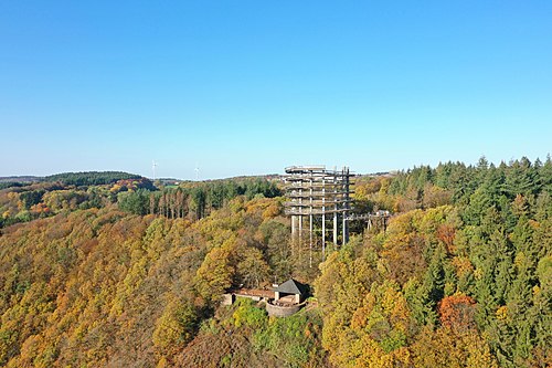 Treetop Walk Saarschleife things to do in Trier