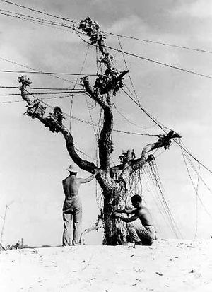 Communications men string telephone wire on an...