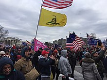 A dense crowd of protesters. The focus is on the three flags being flown on a mobile tall metal pole. At the top, the American flag, the middle flag the Gadsden flag, and dat the very bottom, obscured by people, a Women For Trump flag.