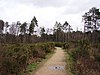 Elvetham Heath