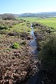 Ephemeral spring at the lower Adullam site