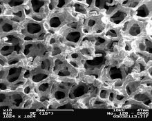 An open-cell metal foam Metal Foam in Scanning Electron Microscope, magnification 10x.GIF