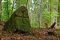 Wanderblockteilstück nordischer Herkunft mit eingehauenem Tatzenkreuz; Teil einer Grenzsteinreihe aus dem 15. Jahrhundert, die von Sieversen westwärts in den Rosengarten verläuft; seit dem 10. Juni 1955 Naturdenkmal