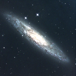 NGC 253.png