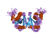 2gw6: NMR structure of the human tRNA endonuclease SEN15 subunit