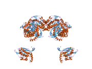 2ii4: Crystal structure of a cubic core of the dihydrolipoamide acyltransferase (E2b) component in the branched-chain alpha-ketoacid dehydrogenase complex (BCKDC), Coenzyme A-bound form