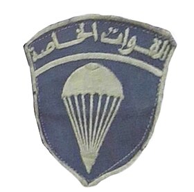 Image illustrative de l’article Régiments de parachutistes commandos