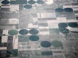 Farmland in the USA. The round fields are due to the use of center pivot irrigation.