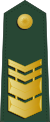 Taiwan-army-OR-8.svg