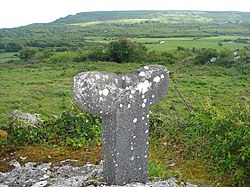 Tau Cross, Replik südlich der Straße R476 von Killinaboy nach Kilfenora