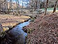 Le ruisseau du Puech-Lasvieilles, affluent du lac.