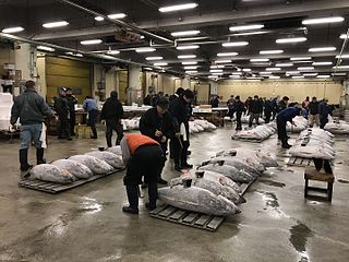 Kauppaa Tsukijin kalatorilla vuonna 2017