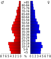 Bevolkingspiramide Blaine County