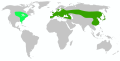 00:19, 18 apirila 2024 bertsioaren iruditxoa