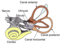 Miniatura para Sistema vestibular