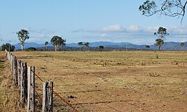 Wivenhoe Pocket b.jpg