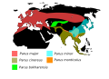 תמונה ממוזערת לגרסה מ־18:08, 12 בינואר 2010