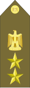 EgyptianArmyInsignia-Colonel.svg