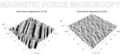 Pisipilt versioonist seisuga 29. juuli 2009, kell 16:53