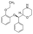 תמונה ממוזערת לגרסה מ־17:28, 26 במאי 2008