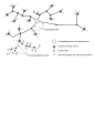 Vorschaubild der Version vom 15:25, 5. Feb. 2015