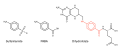 תמונה ממוזערת לגרסה מ־13:11, 26 ביוני 2011