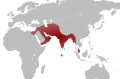 23:29, 12 urria 2009 bertsioaren iruditxoa