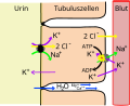 Vorschaubild der Version vom 22:37, 21. Mai 2008