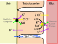 Vorschaubild der Version vom 13:10, 30. Mai 2008