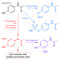 Thumbnail for version as of 16:15, 18 January 2009