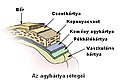 Bélyegkép a 2013. január 14., 09:14-kori változatról